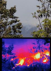 Пожарный тепловизор FLIR K2