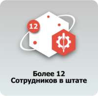 12 сотрудников